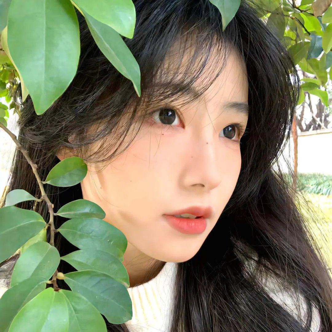 无忧公主